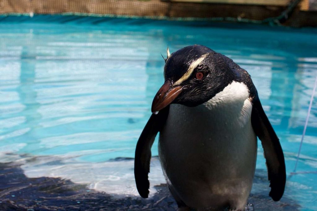 16178735_1504630152888174_7730460581121543828_o