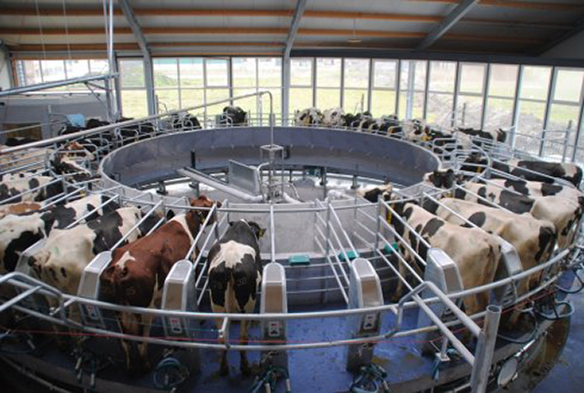 Wageningen University’s Dairy Campus