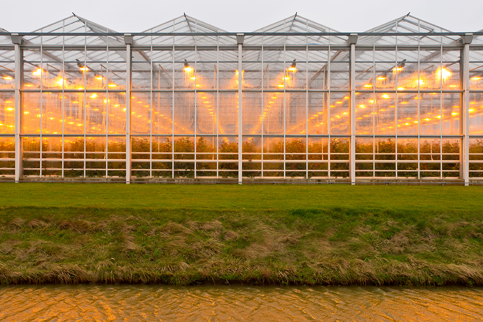 greenhouse in fields Netherlands_980