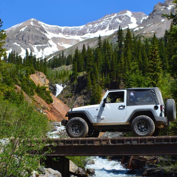 18118465_10156981328751515_7061887973220134165_n