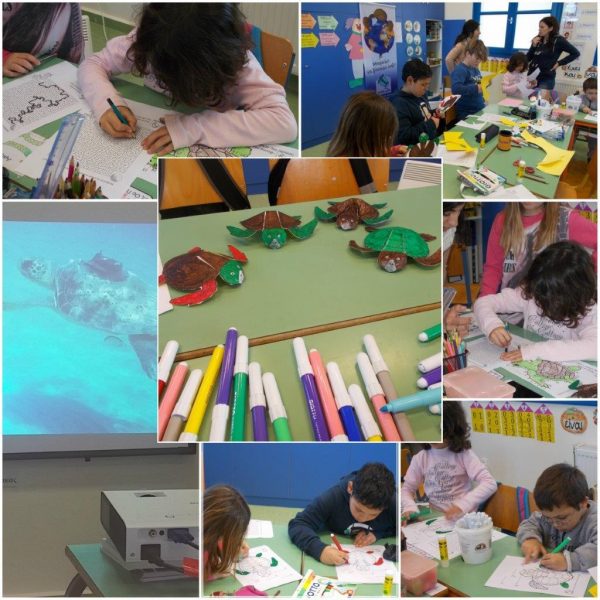 20.12.2017_energy gor life_2