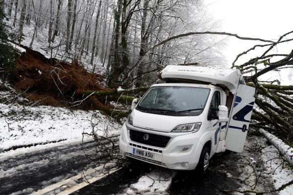 nintchdbpict000372263022