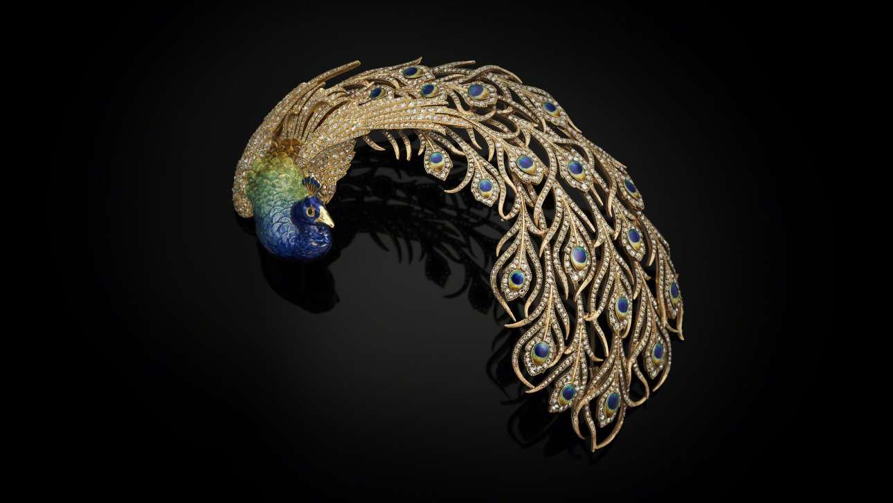 doge peacock-aigrette_l