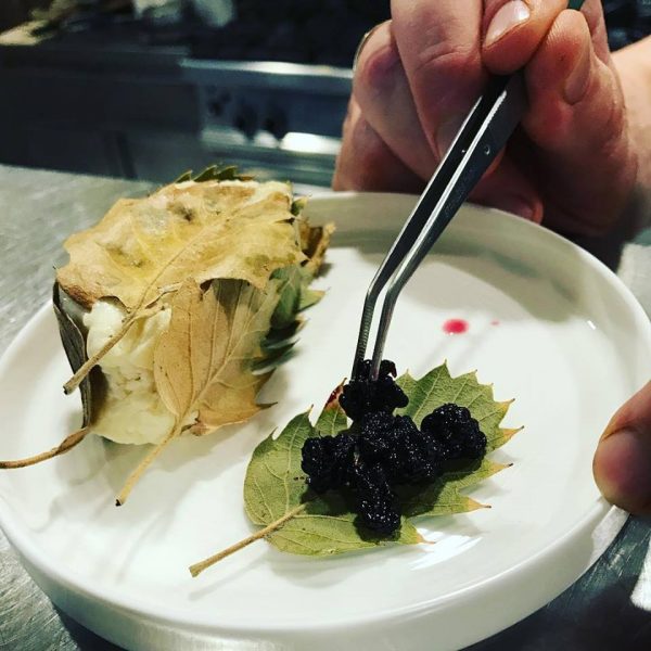 23559915_10155399686118649_4998387590877721221_n