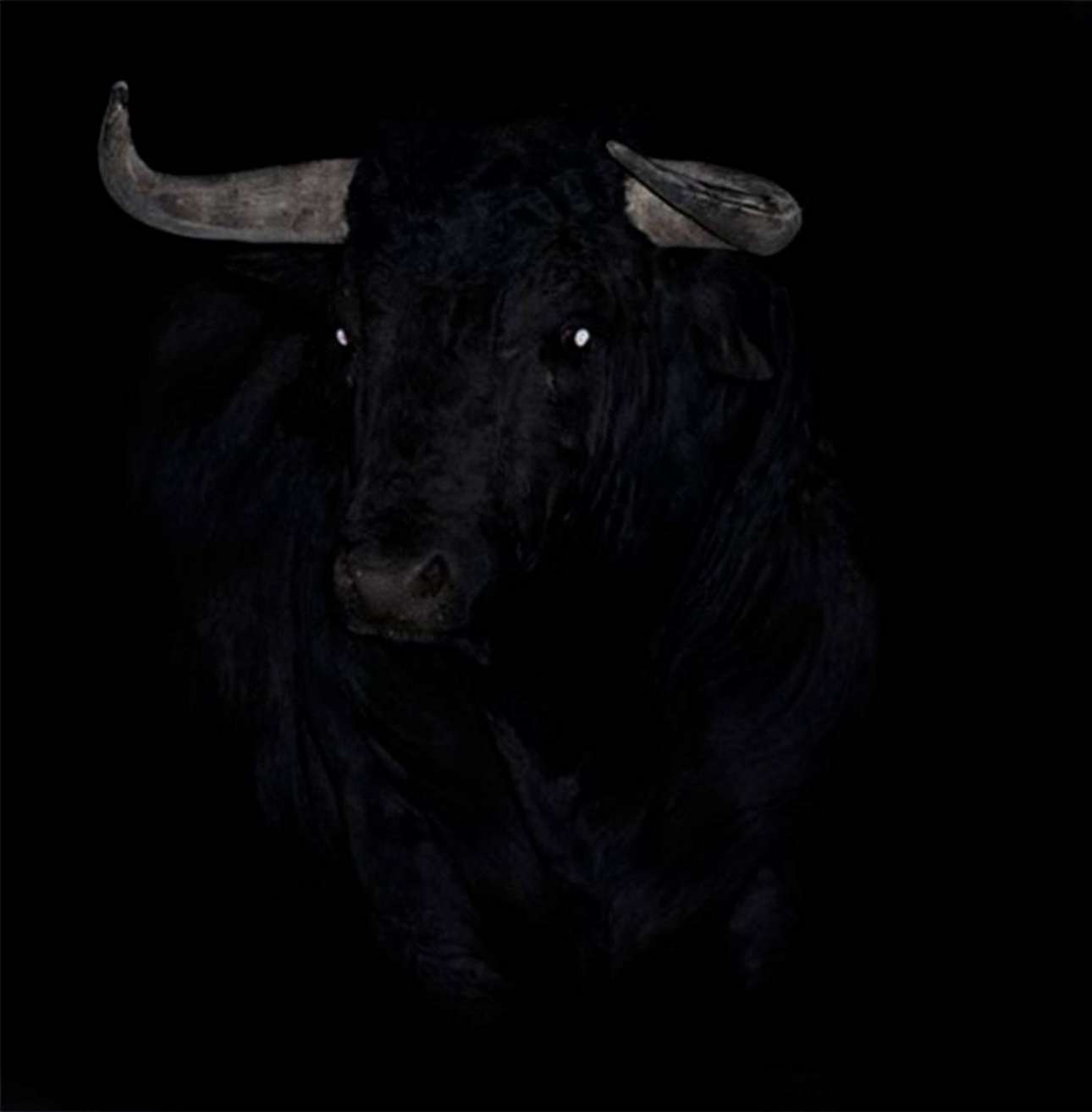 Μέρος της παράστασης των El Conde de Torrefiel LA PLAZA (Rebecca_Praga)