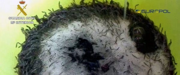 WireAP_1b376fa9ca48470cbde5834cafa1fe61_12x5_992