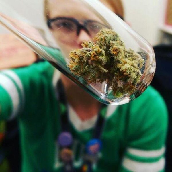 15492166_1161589747221985_7105995898292641609_n