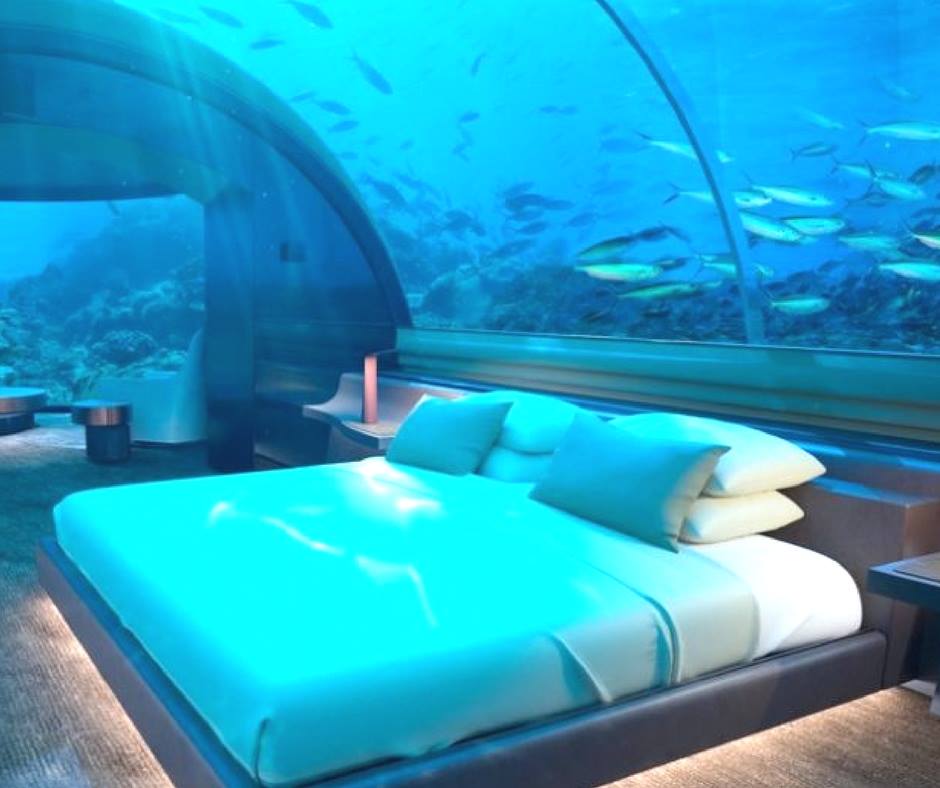 30715876_1875581955793504_2183387624679407616_n