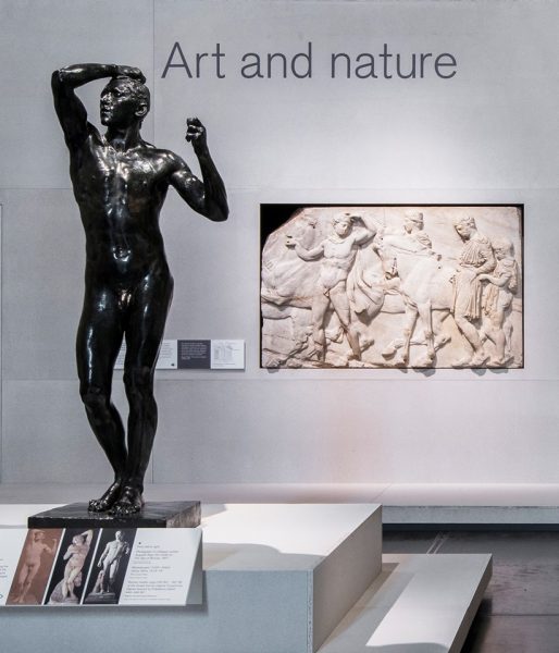 31895372_10156318653539723_4565901379289219072_n