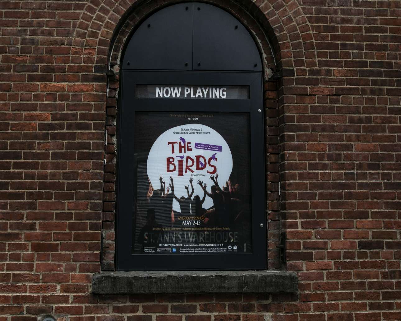 Birds Festival NY@Andreas Simopoulos