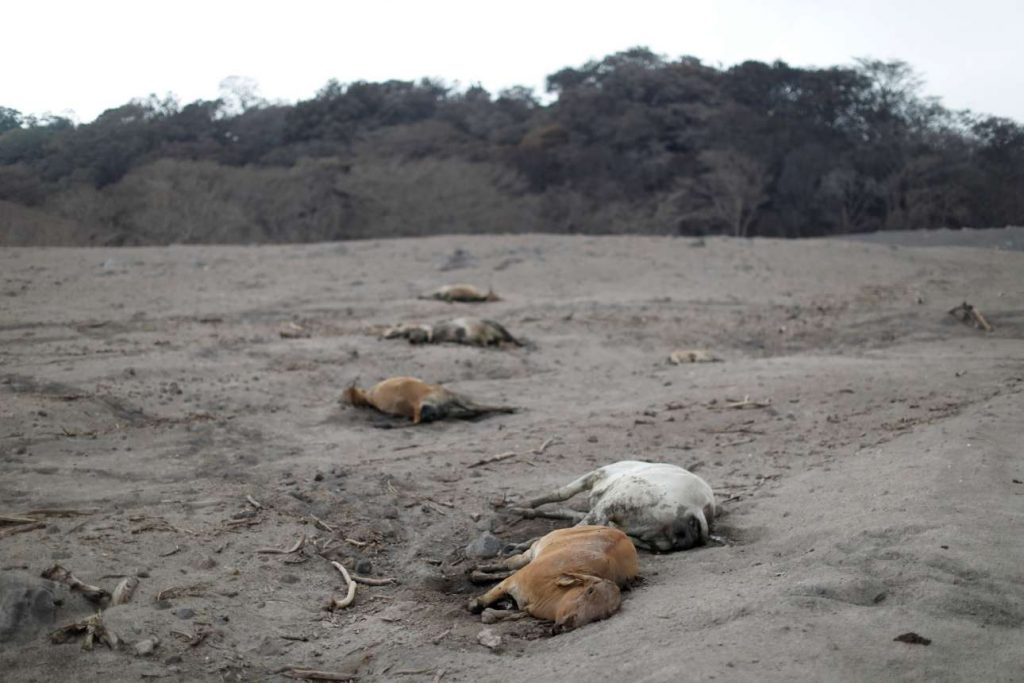 2018-06-07T010109Z_11734774_RC1D16C09810_RTRMADP_3_GUATEMALA-VOLCANO