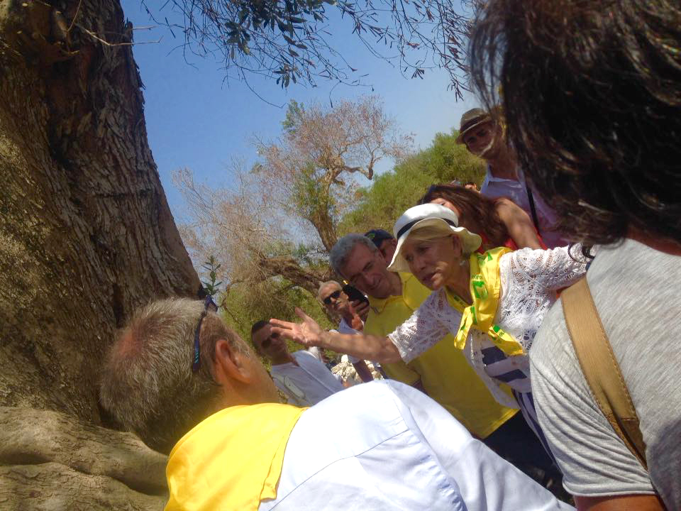 (Coldiretti Giovani Impresa Lecce/Facebook)