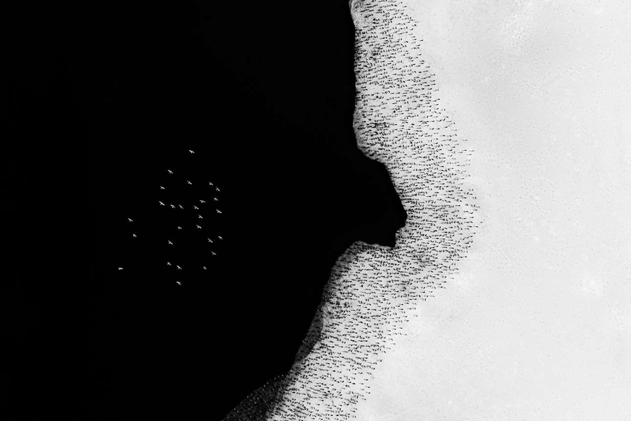 «Τόξο». Νικητής, βραβείο Εναέριας Φωτογραφίας. Μπούλντερ, Κολοράντο